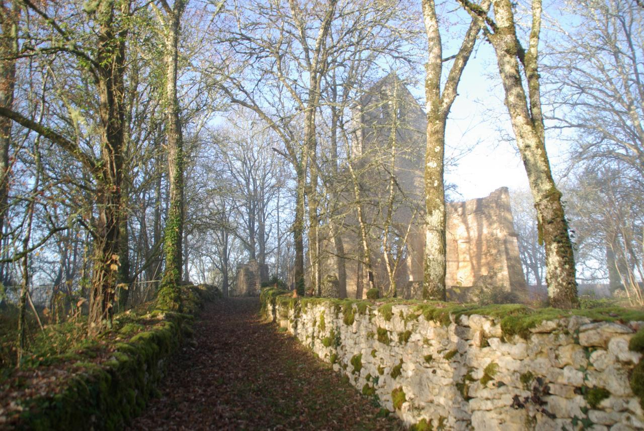 Vila Les Maisons Du Cheylard-Lascaux Les Farges  Exteriér fotografie