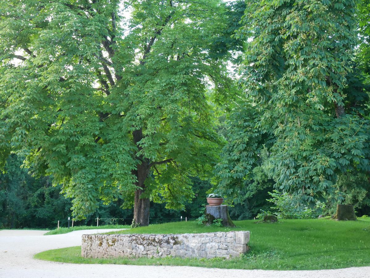 Vila Les Maisons Du Cheylard-Lascaux Les Farges  Exteriér fotografie